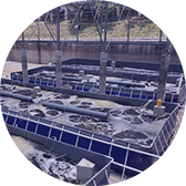 生物絮團對蝦養(yǎng)殖案例二